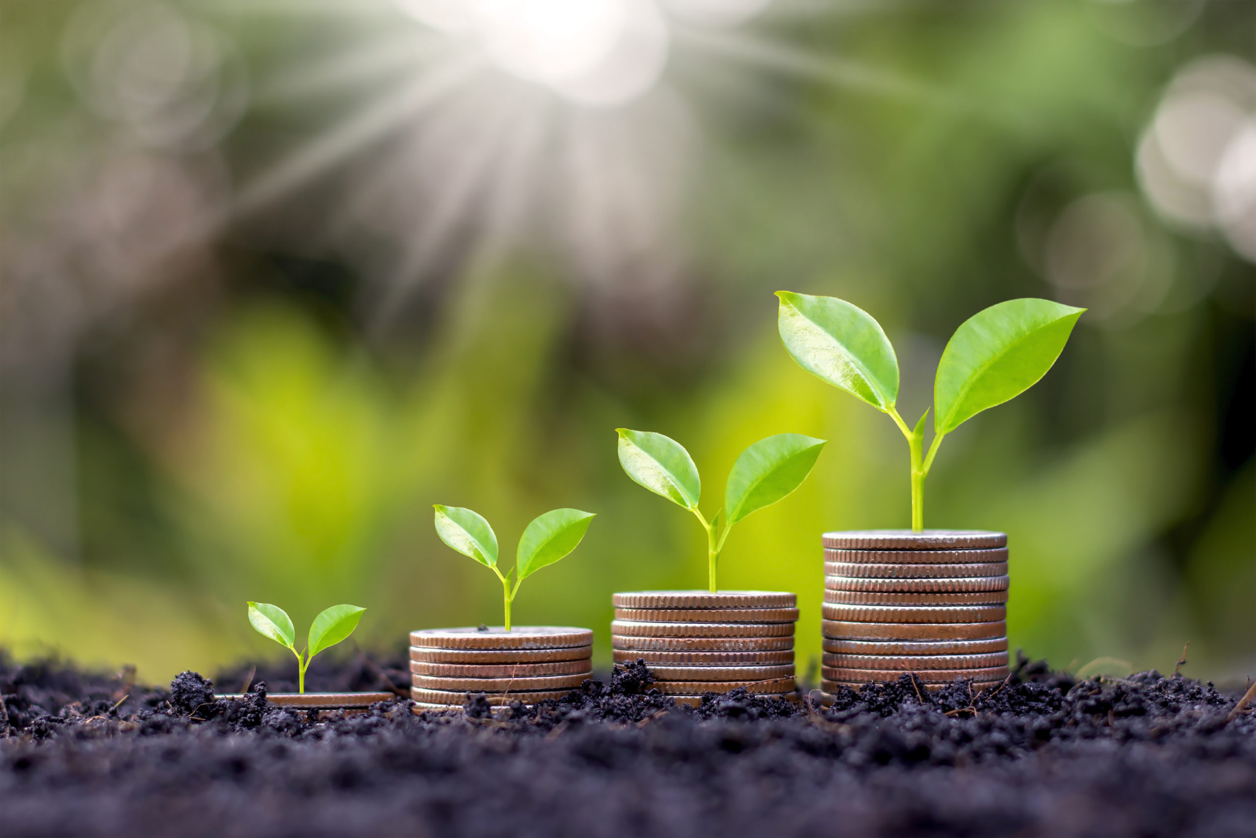Sustainable Investing – Brooks Wealth Management